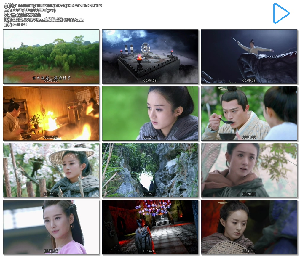 The.Journey.of.Flower.Ep01.720p.HDTV.x264-NGB.mkv.jpg