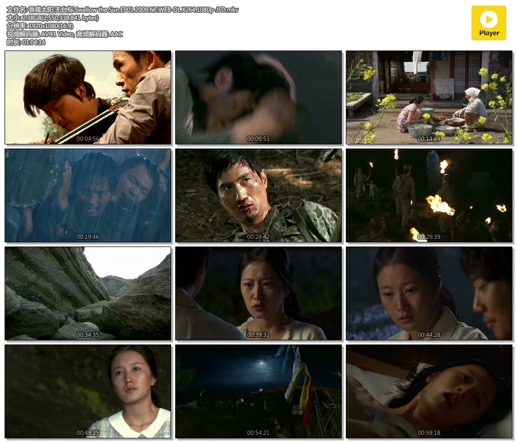 吞噬太阳.无台标.Swallow the Sun.EP01.2009.NF.WEB-DL.X264.1080p-JFD.mkv.jpg