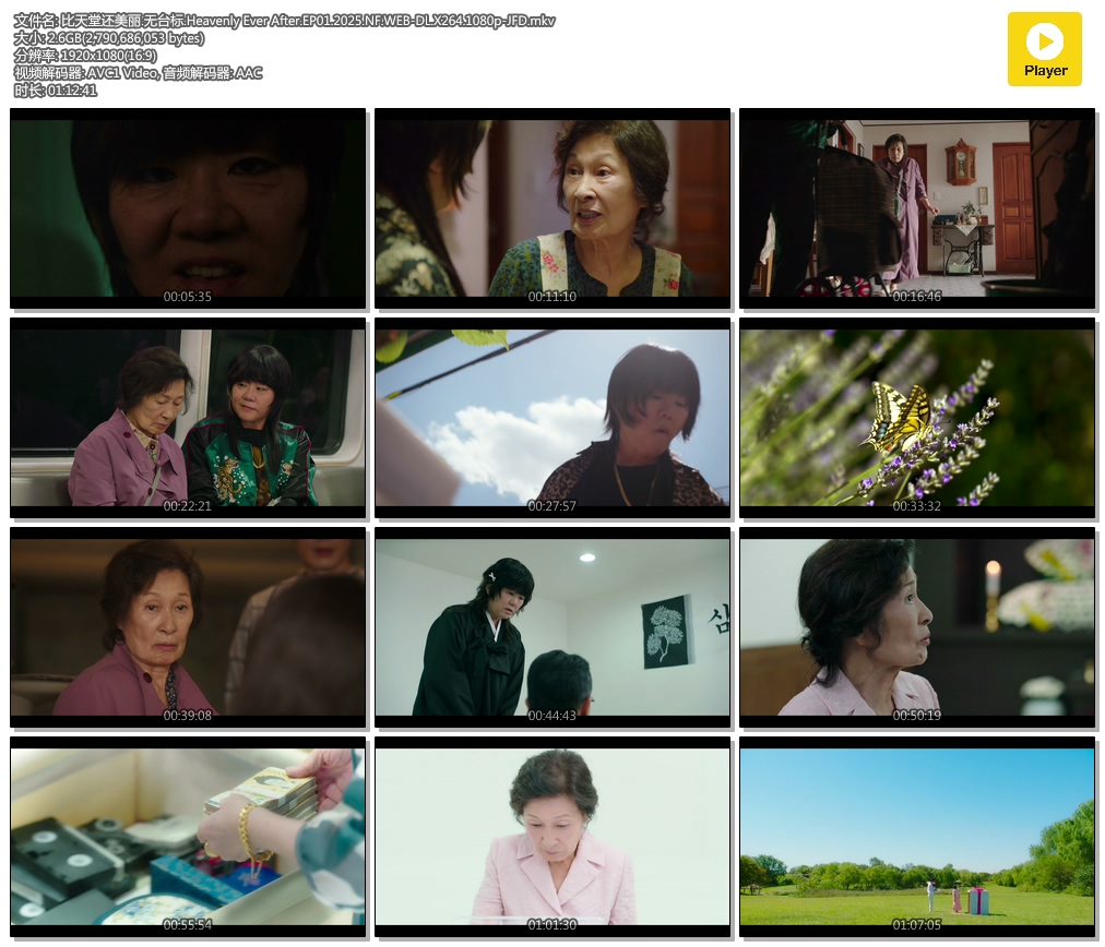 û.̨.Heavenly Ever After.EP01.2025.NF.WEB-DL.X264.1080p-JFD.mkv.jpg