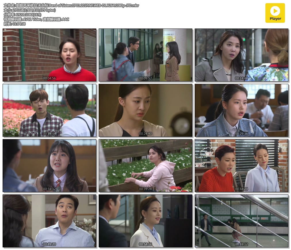 .̨.Band of Sisters.EP01.2017.NF.WEB-DL.X264.1080p-JFD.mkv.jpg