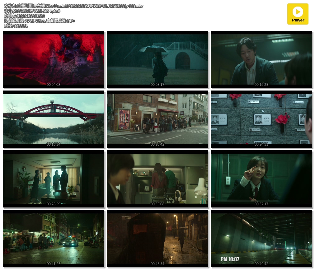 Ѫƴͼ.̨.Nine Puzzle.EP01.2025.DSNP.WEB-DL.H264.1080p-JFD.mkv.jpg