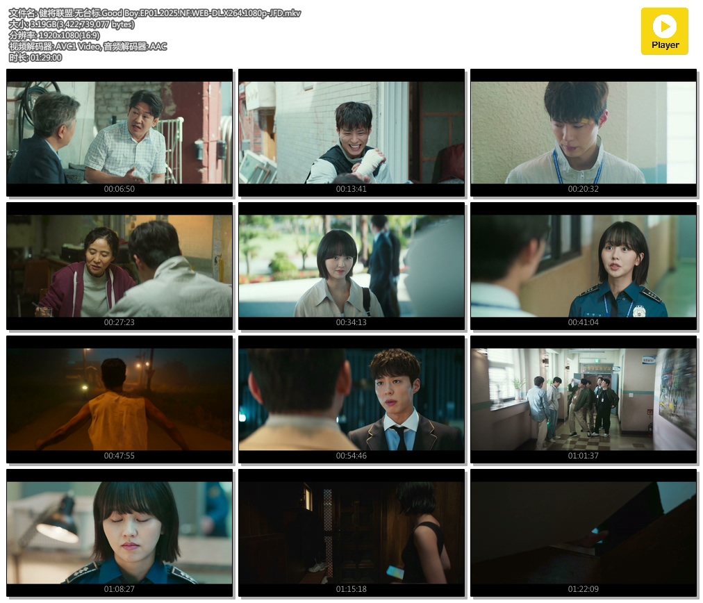 .̨.Good Boy.EP01.2025.NF.WEB-DL.X264.1080p-JFD.mkv.jpg