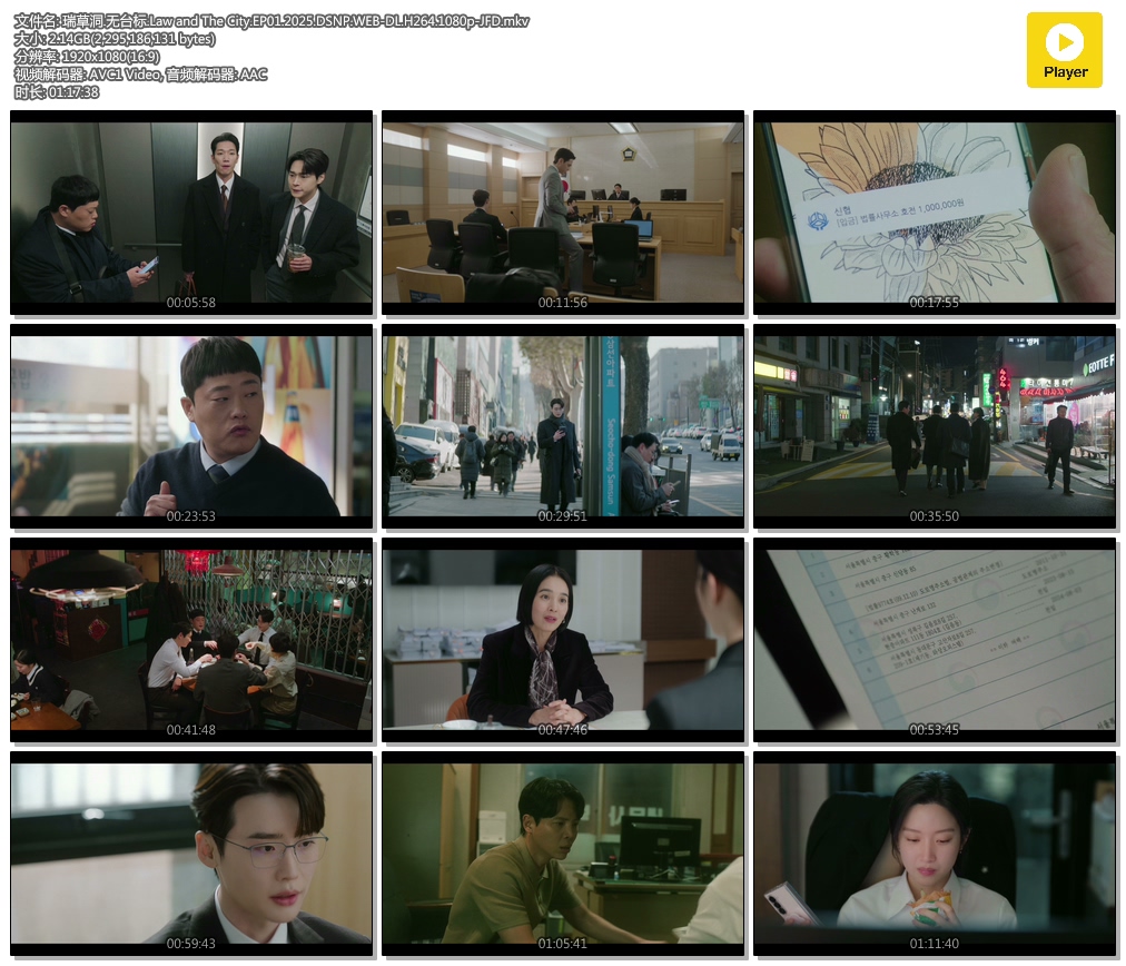 ݶ.̨.Law and The City.EP01.2025.DSNP.WEB-DL.H264.1080p-JFD.mkv.jpg